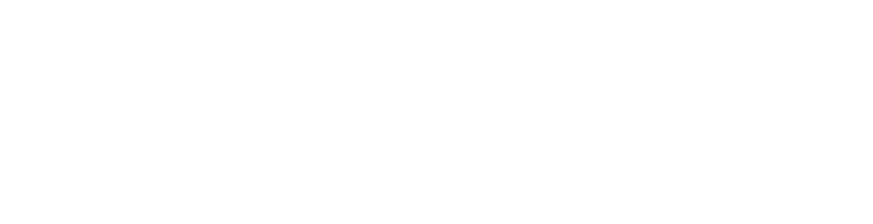 AI VISION